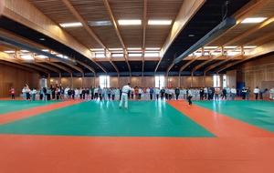 Le Judo auprès des scolaires