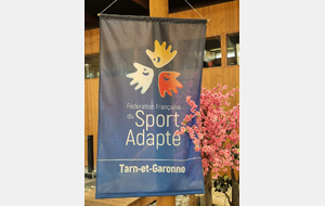 Une journée sportive inclusive autour du judo en Tarn-et-Garonne