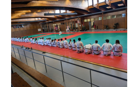 stage Février à Montauban